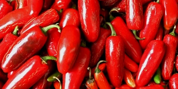 Ardeiul iute este noua armă a armatei indiene
