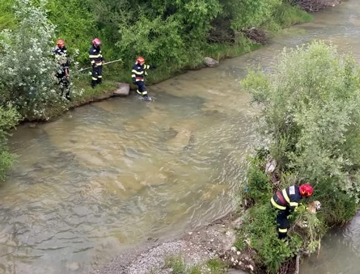 Bietul animal era legat și nu se putea mișca. FOTO Poliția Locală Pucioasa