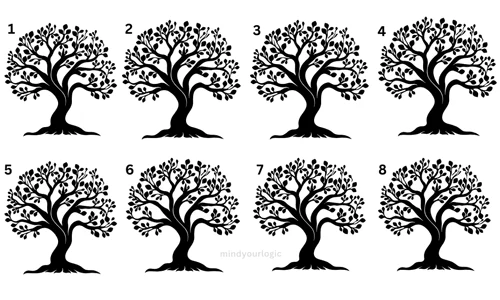 find te odd tree que 1758890751330 jpg