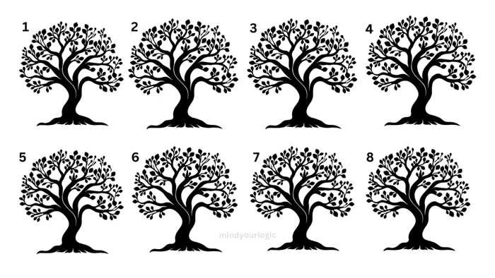 Care dintre copaci iese în evidență / foto: mindyourlogic