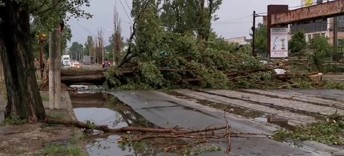 La Galați, mai mulți copaci au fost smulși din rădăcinifoto: Facebook Meteoplus