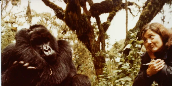 dian fossey