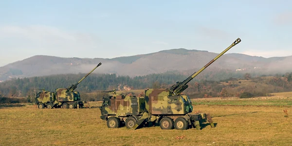 Armata sarba Serbia FOTO Profimedia jpg