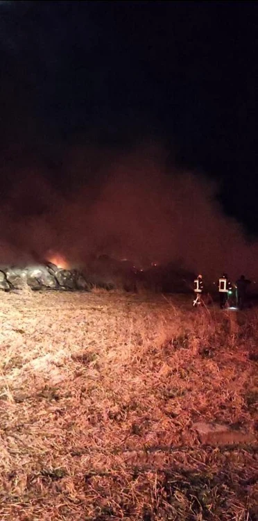 Incendiu puternic în judeţul Ialomiţa FOTO ISU Ialomiţa