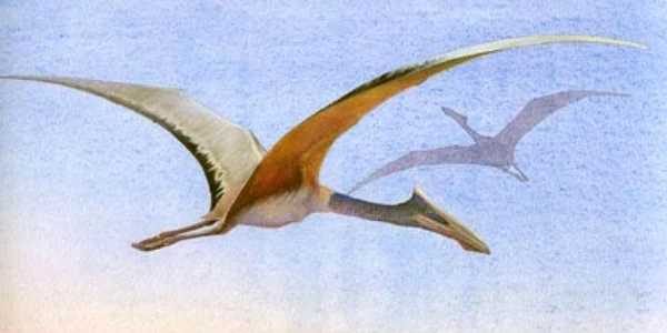 pterozaur