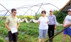 Captură de ecran din 2025 08 24 la 10 33 17 png