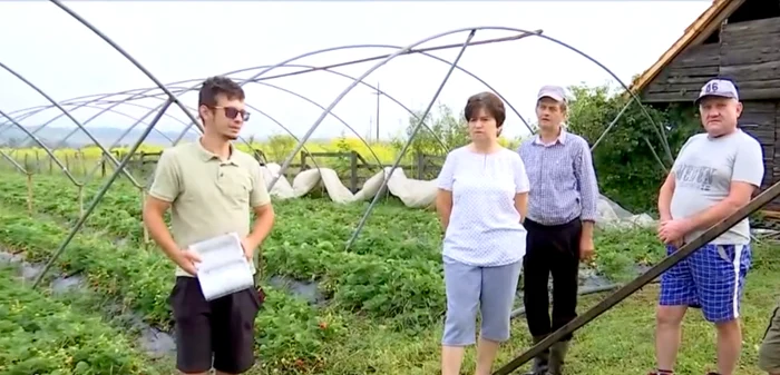 Căpșunile continuă să aducă profit fermierilor / Foto: captură Observator