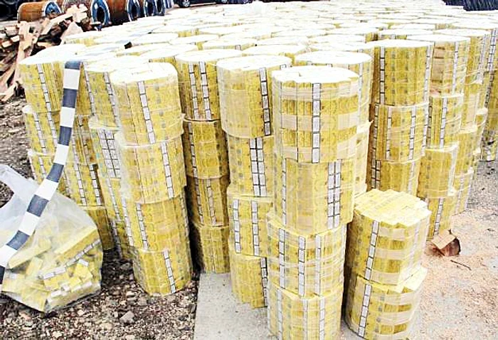 În buşteni au fost ascunse 70.000 de pachete