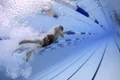 bazin olimpic jpeg