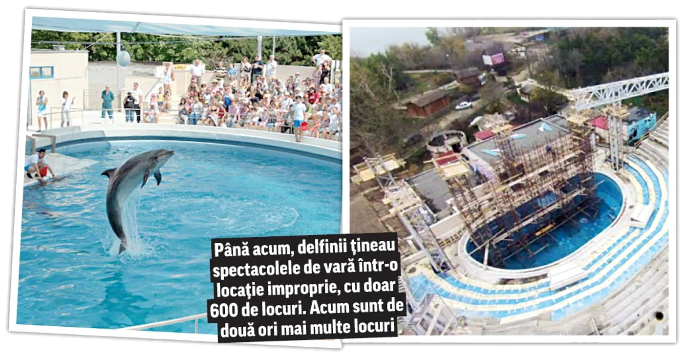 Până acum, delfinii țineau spectacolele de vară într-o locație improprie, cu doar 600 de locuri. Acum sunt de două ori mai multe locuri
