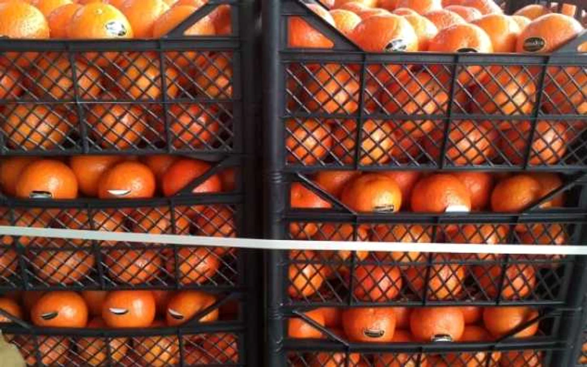 mandarine