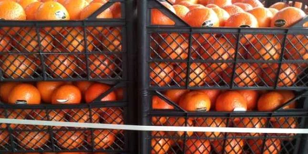 mandarine