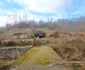 Satul Răscoala din Hunedoara Foto Daniel Guță ADEVĂRUL (12) jpg