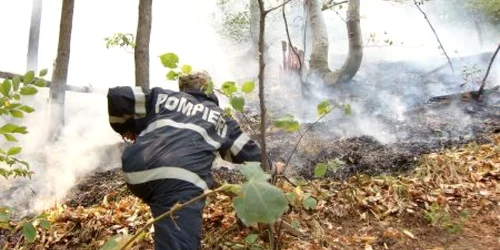 Nu există zi fără cel puţin un incendiu