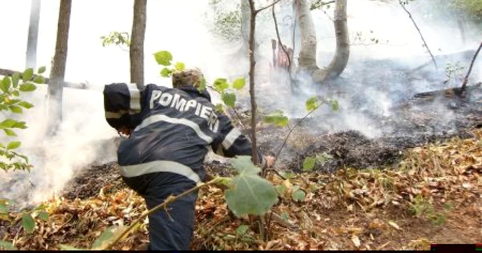 Nu există zi fără cel puţin un incendiu