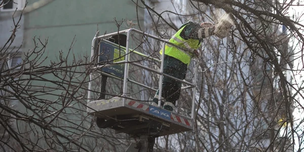 Campanie de curăţenie în sectorul 6 al Bucureştiului. FOTO Inquam Photos / Octav Ganea