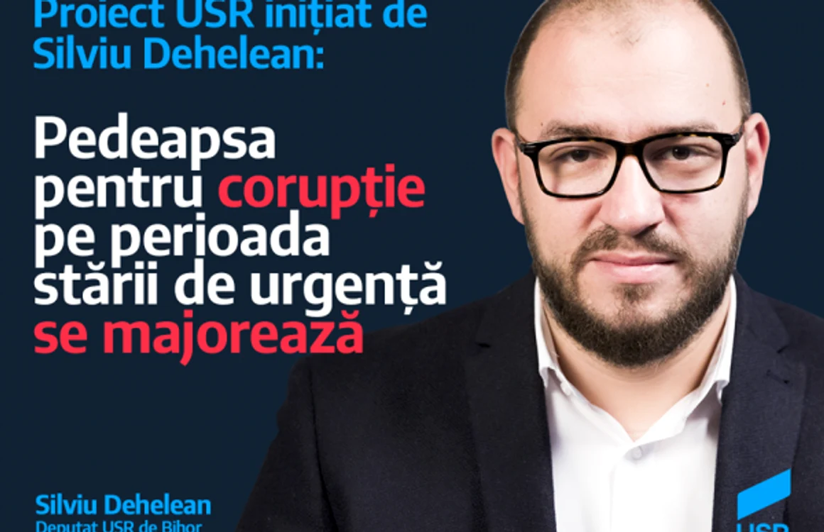 Silviu Dehelean, parlamentar USR