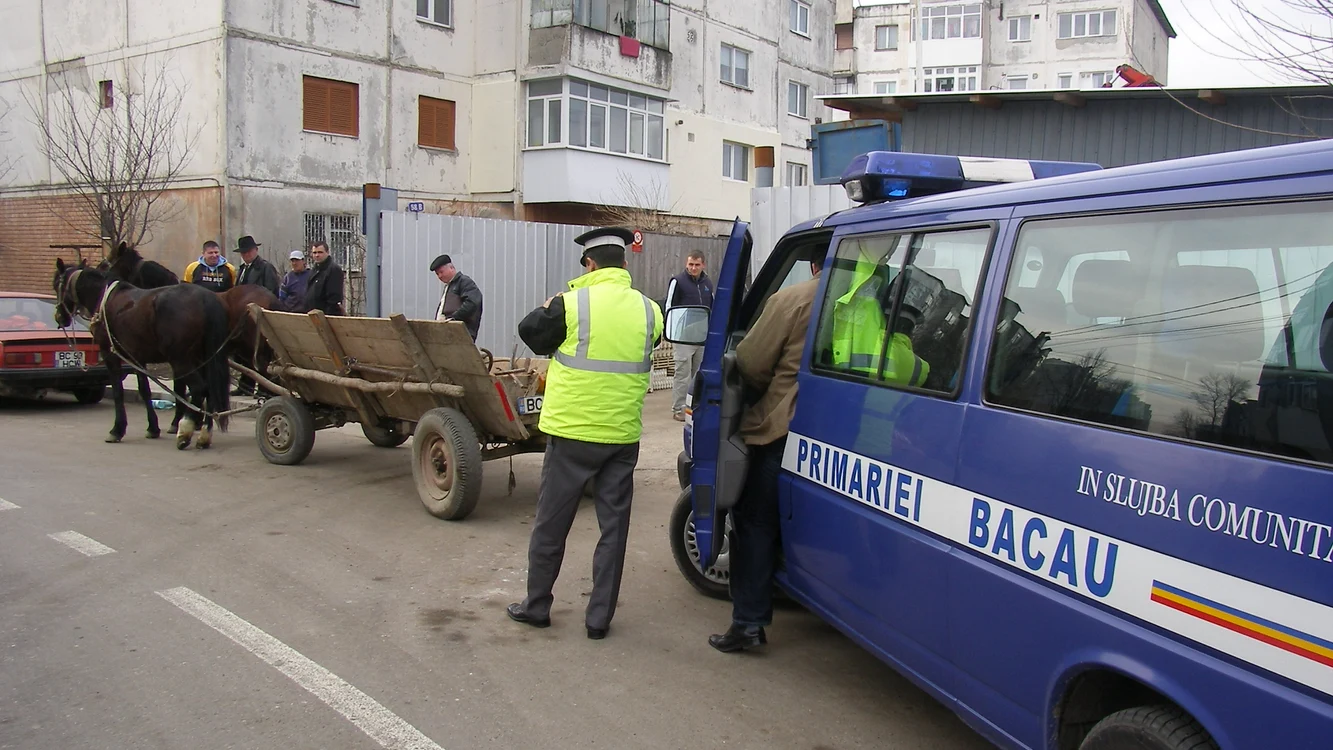 Polițiștii locali au primit trei decizii de transformare a amenzilor în ore de muncă