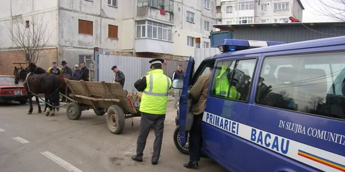 Polițiștii locali au primit trei decizii de transformare a amenzilor în ore de muncă