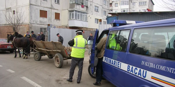 Polițiștii locali au primit trei decizii de transformare a amenzilor în ore de muncă