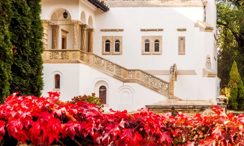 Foto: Facebook / Muzeul Naţional Cotroceni 