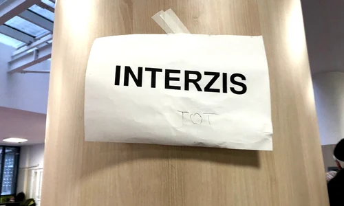 p 24 C  Stefan jpg
