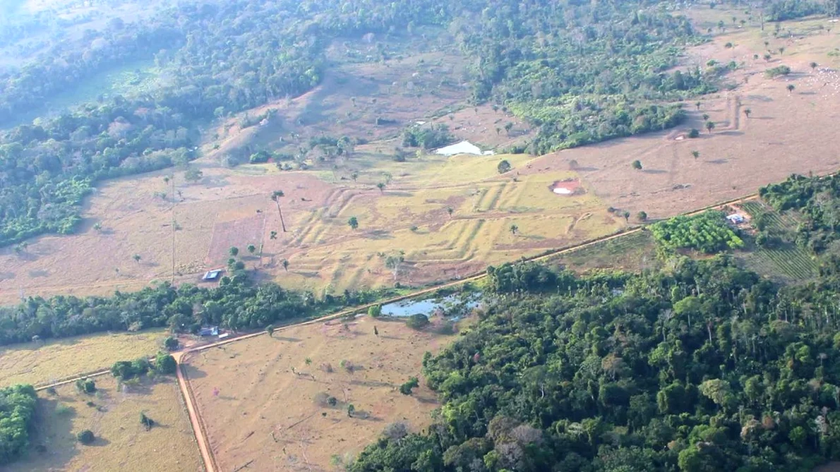Arheologii au descoperit geoglife antice în statul brazilian Acre (© Martti Pärssinen)