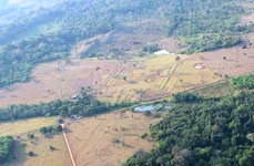 Arheologii au descoperit geoglife antice în statul brazilian Acre (© Martti Pärssinen)