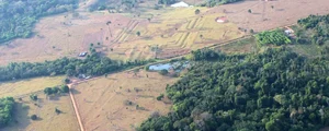 Arheologii au descoperit geoglife antice în statul brazilian Acre (© Martti Pärssinen)