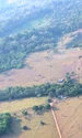 Arheologii au descoperit geoglife antice în statul brazilian Acre (© Martti Pärssinen)