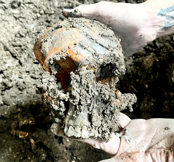 Craniu găsit sub podea FOTO: Lucy Thomas/Instagram