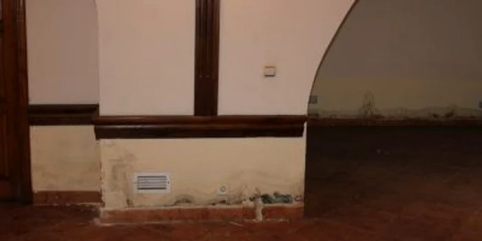 Muzeu