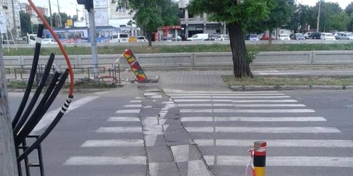 zebra iasi