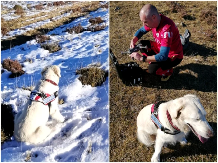 La căutări a fost folosit un câine şi drona din dotarea Salvamont