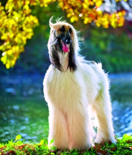 441e29cdcea5acfcef7f97ae5fa7903a jpg jpeg