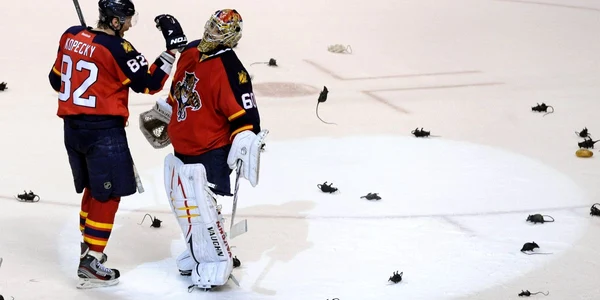 Jucătorii lui Florida Panthers au fost inconjurati de... sobolani * Foto: Reuters