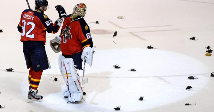 Jucătorii lui Florida Panthers au fost inconjurati de... sobolani * Foto: Reuters