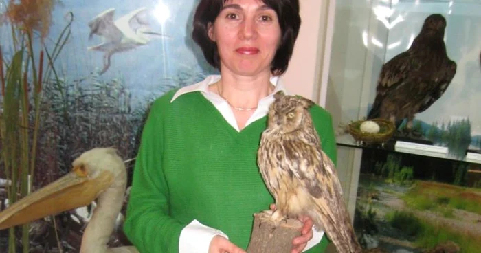 Craiova: Mirela Ridiche, un muzeograf pasionat.
