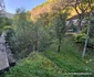 Fosta cale ferată Hunedoara Govajdia Foto Daniel Guță ADEVĂRUL (33) jpg