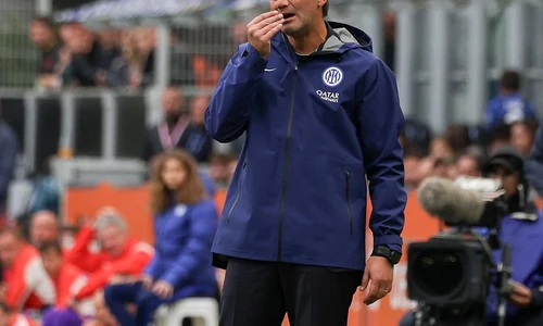 14391954 chivu jpg