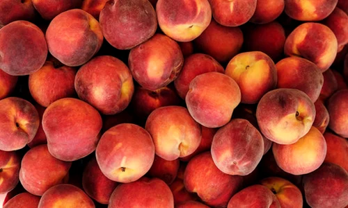 piersici piersica adobestock jpg
