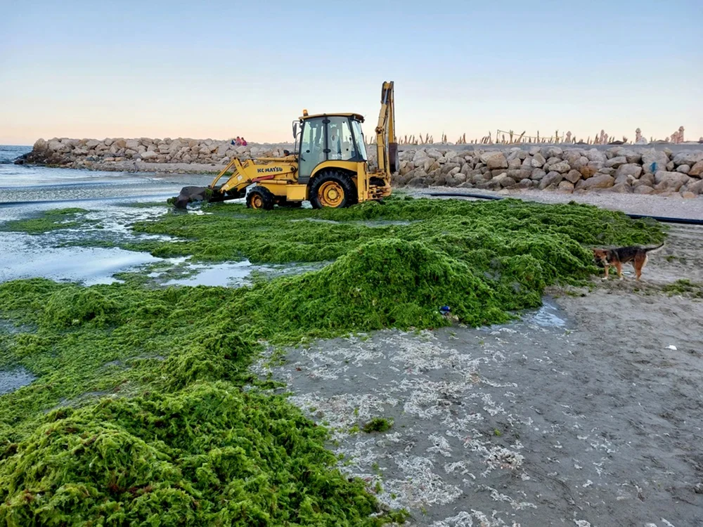 Utilajele nu pot interveni decât seara şi noaptea. Foto: Apele Române Dobrogea - Litoral