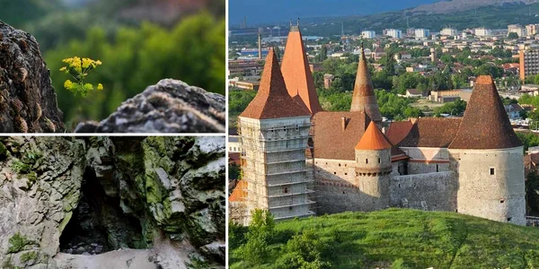 Dealul Sanpetru din Hunedoara  Foto Daniel Guță ADEVĂRUL (57) jpg