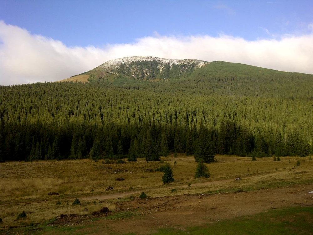Vârful Şureanu