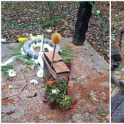 Troita lui Corneliu Zelea Codreanu a fost distrusa foto FB Diana Sosoaca png