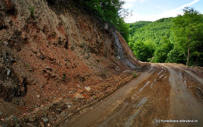 drum spre vadu dobrii hunedoara foto daniel guta adevarul