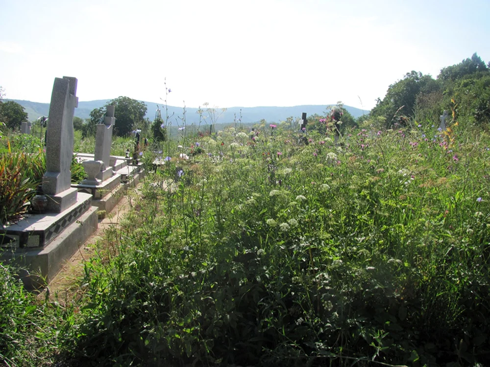 Cimitirul din Zalău a ajuns aproape de capacitatea sa maximă