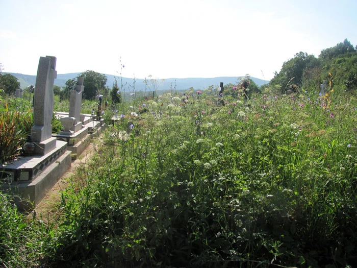 Cimitirul din Zalău a ajuns aproape de capacitatea sa maximă