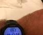 Timp scos de Vasile Proteasa pompierul vâlcean la ultramaratonul Autism 24h Foto Arhiva personală jpg
