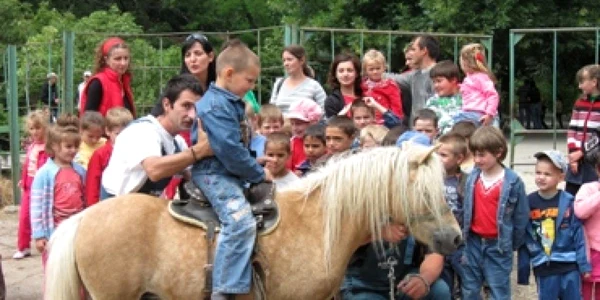 Oradea: Record, aproape 4.000 de vizitatori în trei zile (GALERIE FOTO)